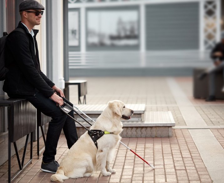 Blinde man op een bankje met hond