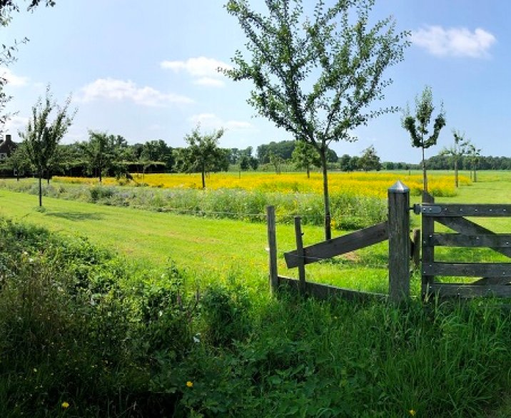 Meer natuur op en rond uw erf? 