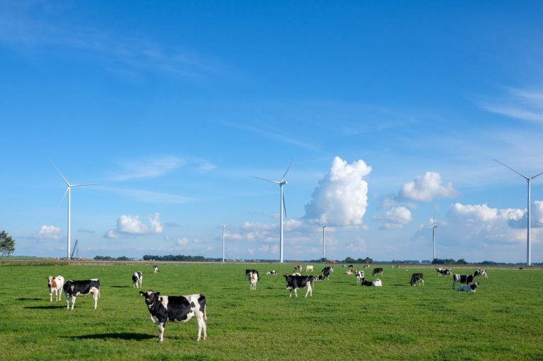 Colleges van Oss en ‘s-Hertogenbosch stellen ontwerp Programma Duurzame Polder vast